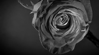 untitled-18-Edit-Edit-Edit
